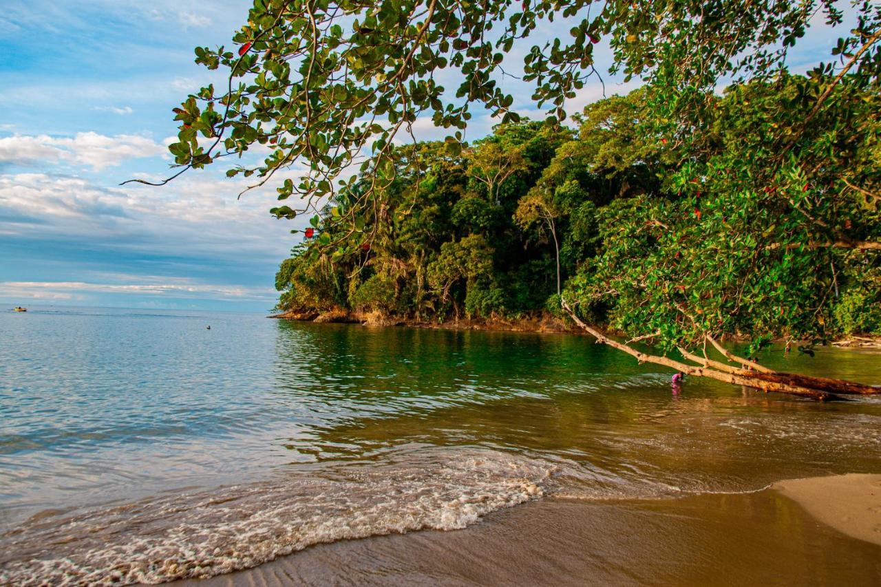 ホテル Bambutel Cocles Puerto Viejo de Talamanca エクステリア 写真