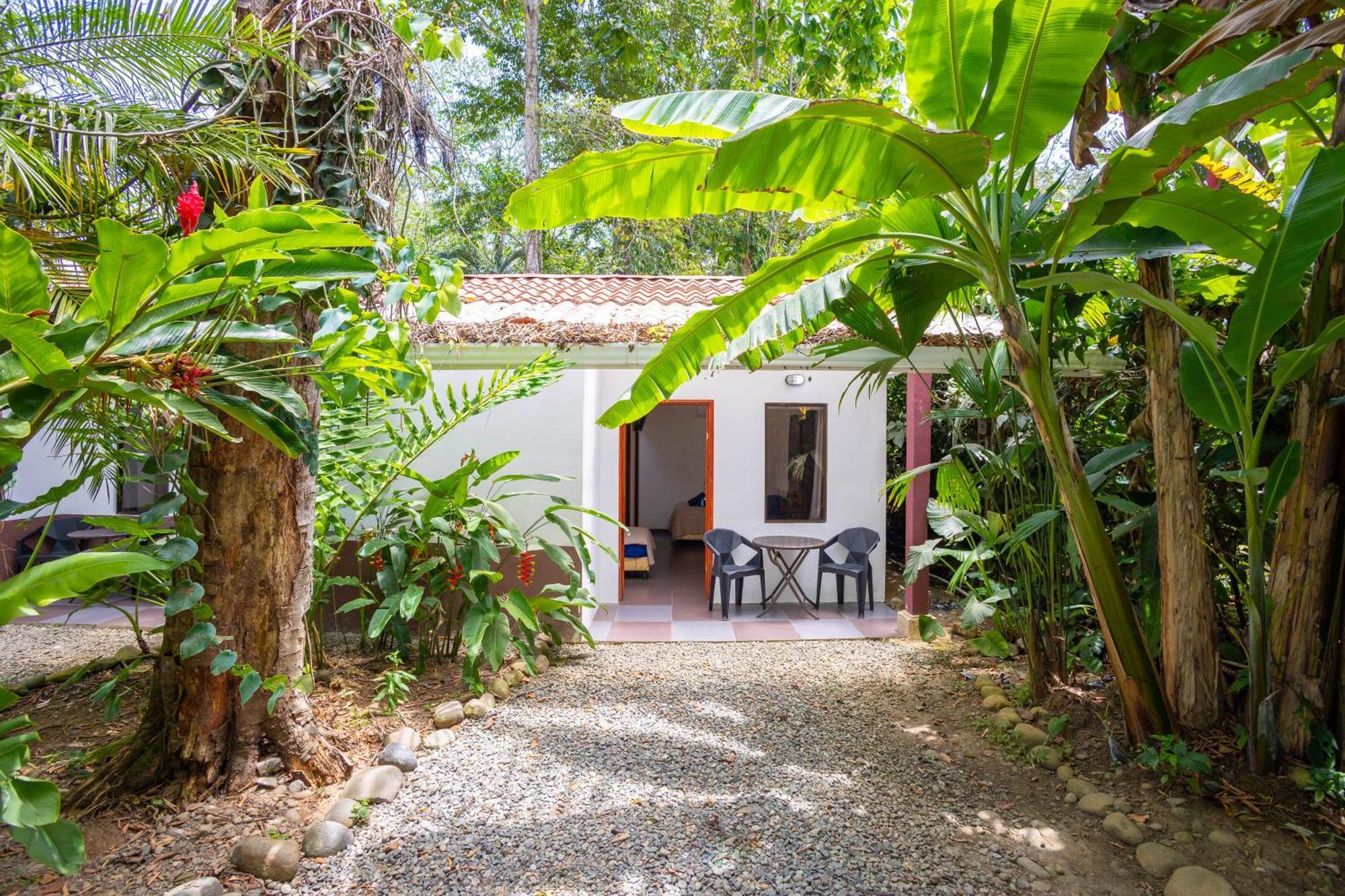 ホテル Bambutel Cocles Puerto Viejo de Talamanca エクステリア 写真